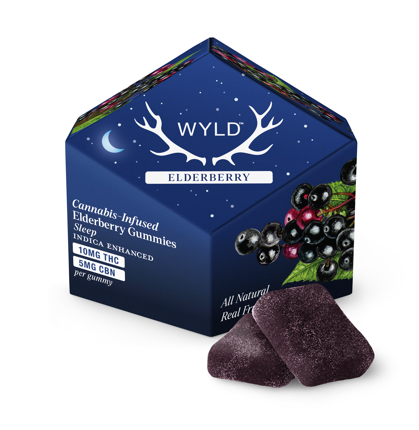 Wyld 10ct Box US Fruit Elderberry Gummies Shadow