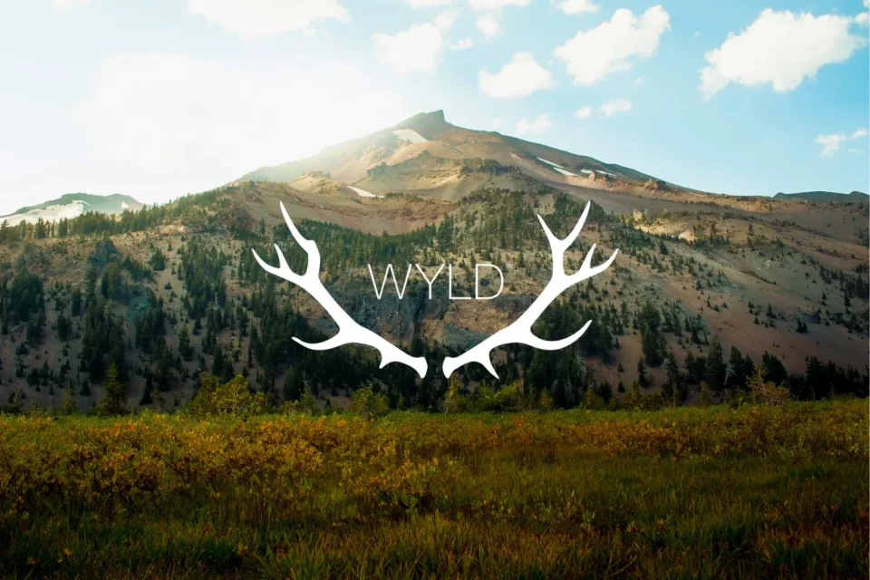 About 1 Wyld History 960x640 1